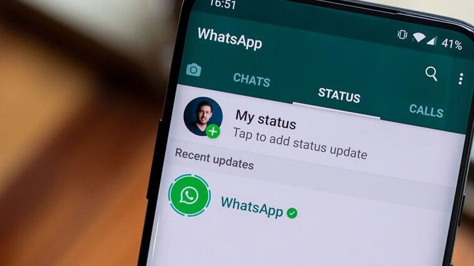 Download Status WhatsApp