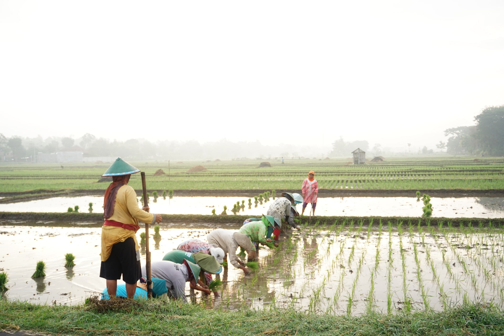 usaha kelompok