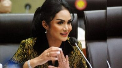 Alasan partai politik merekrut artis