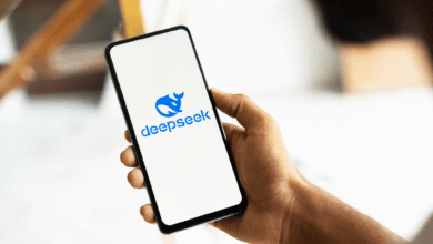 install DeepSeek