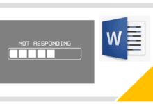 Microsoft Word