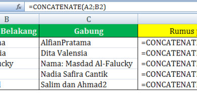 fungsi CONCATENATE