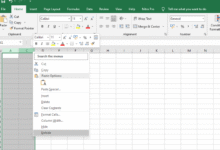 sheet di Excel