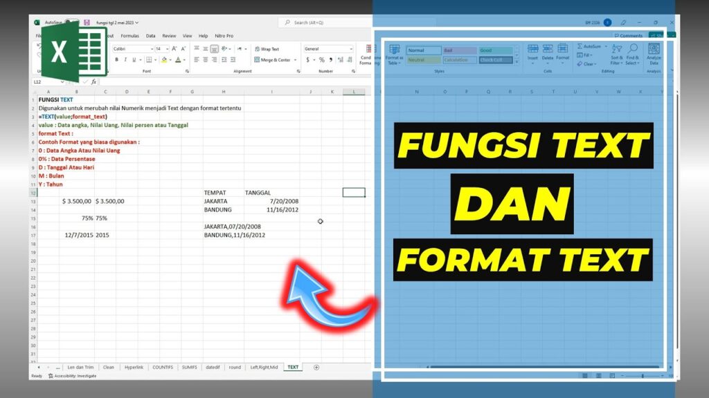 fungsi TEXT